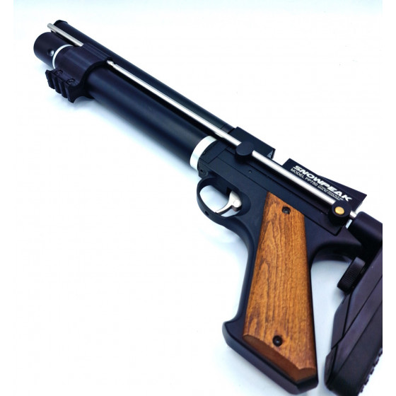 PP750 - Rail picatinny 3...