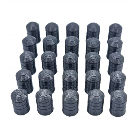 30 Ogives Minié Calibre 50