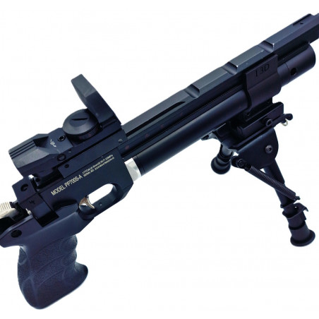 PP700SA - Rail picatinny Artemis