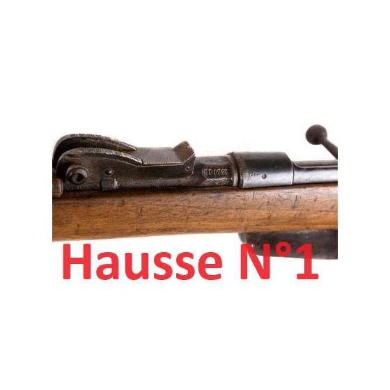 Rail picatinny droit pour...